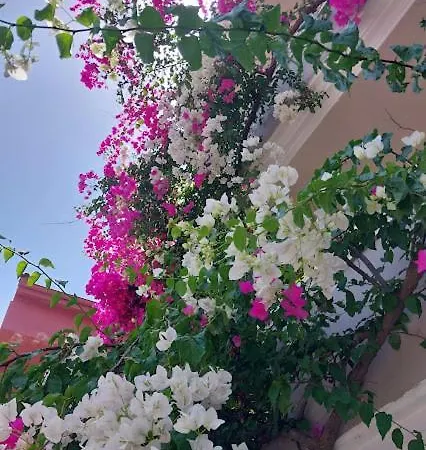 Selenya Apartahotel